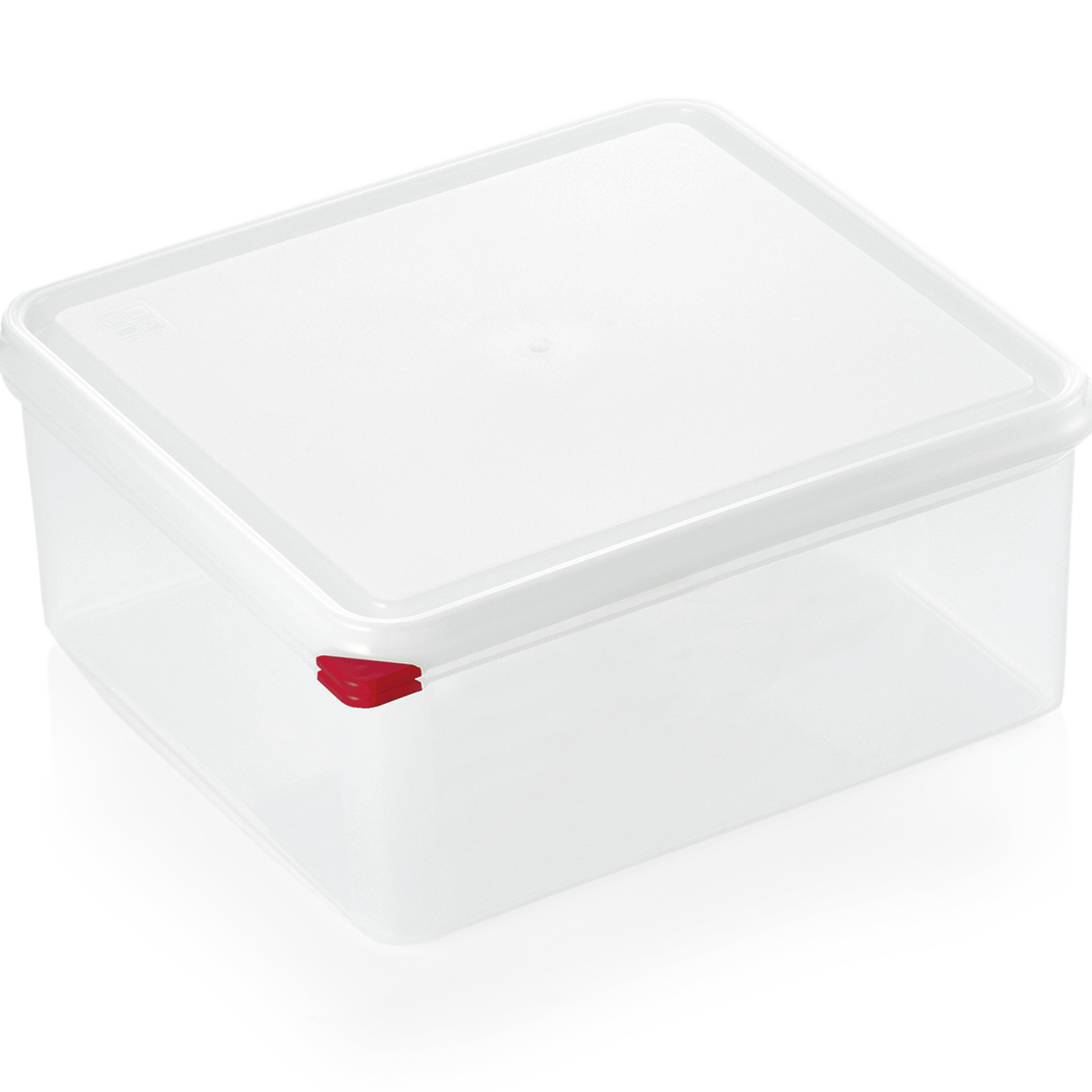 GN Behälter 2/3150 mm, mit Deckel Gastro Gastro Discount Shop